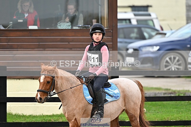 241110-122022-00661 - 50-55cm Arena Eventing