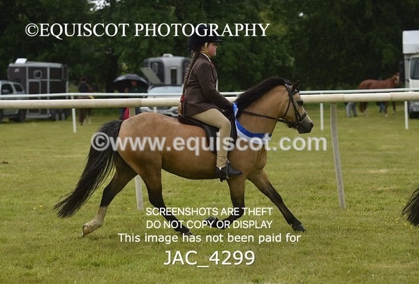 JAC_4299 - WORKING HUNTER CHAMPIONSHIP