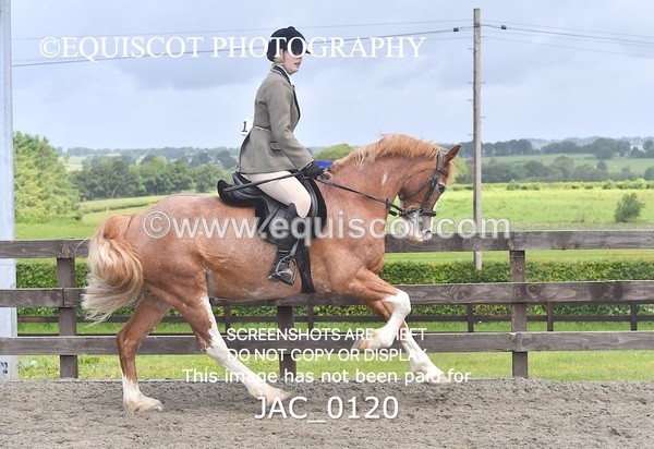 JAC_0120 - CHAMPIONSHIPS AND SUPREME