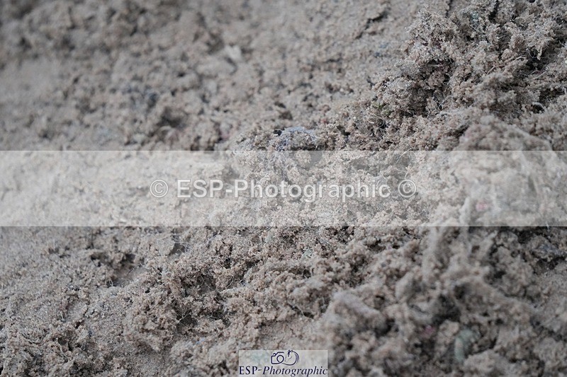 251107-130311-01051 - Cls 6 Foxhunter and 1.20m Open