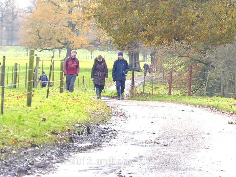 084 Frst walkers ascend the only hill of the day at Newton - York Minster Walkers Collection 2025