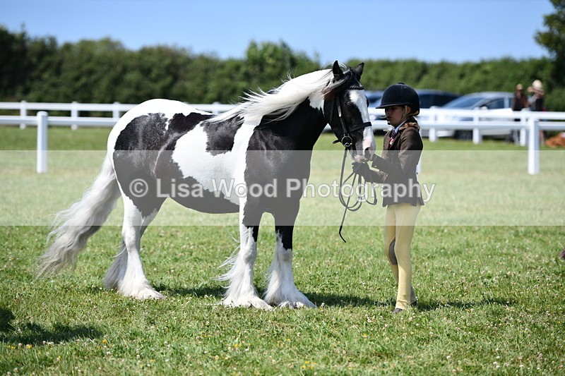 DSC_7781 - Class 64: Coloured Pony 4yrs & over