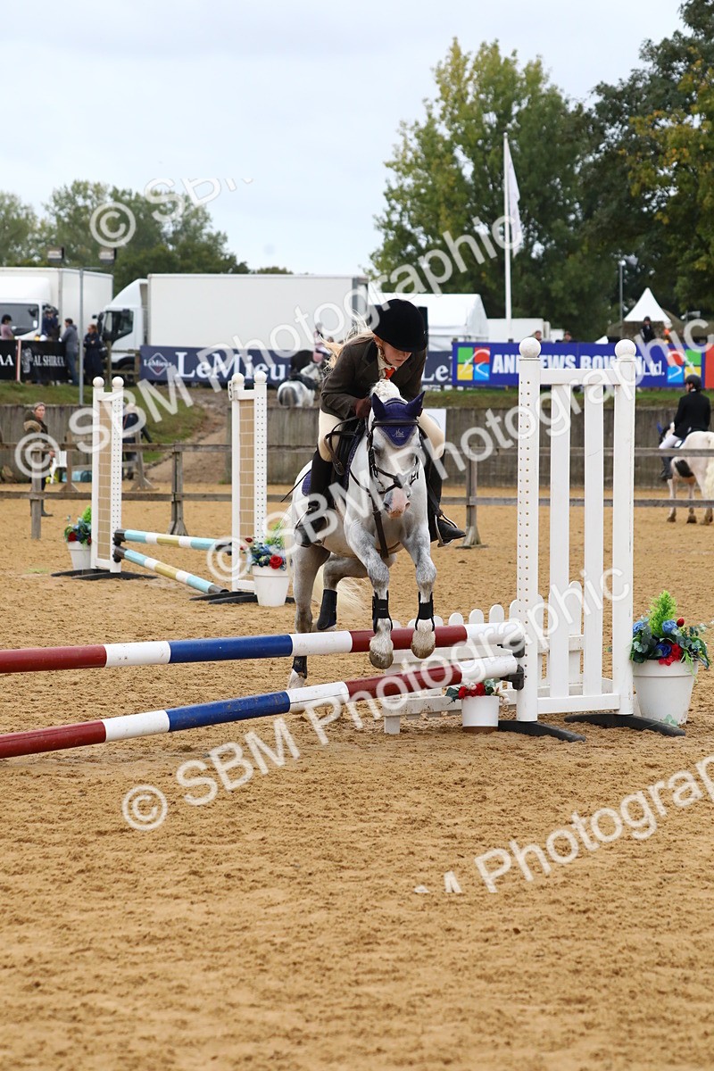 SBM_60071 - J63 - Junior Pony 50cm Championship