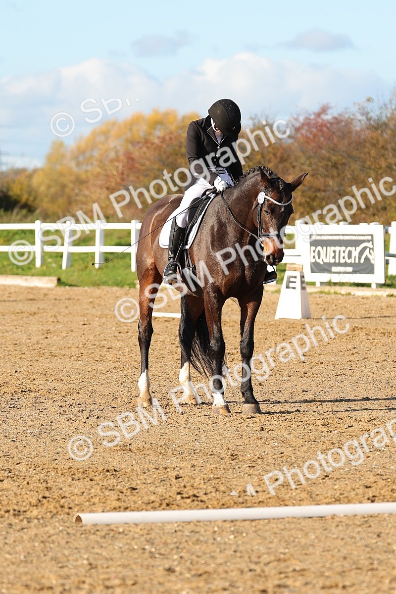 SBM_001487 - Medium 3