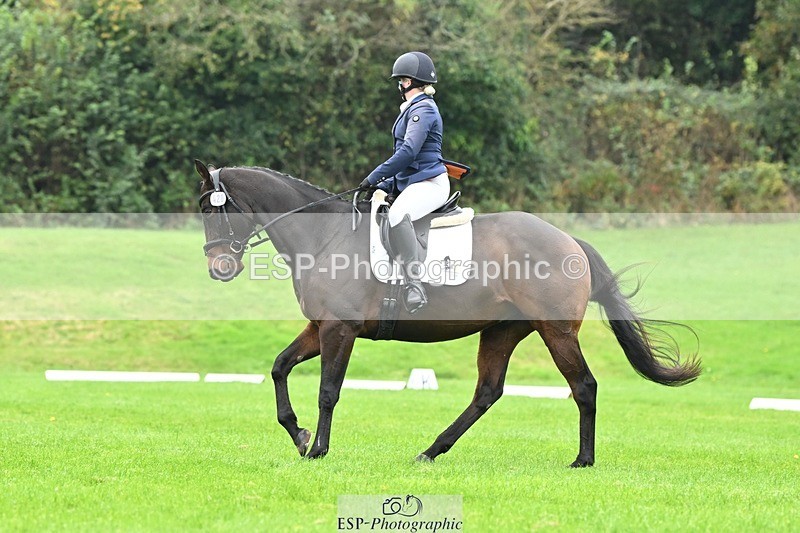 241024-144815-04615 - 420-Pip.Howarth-OTTAVA