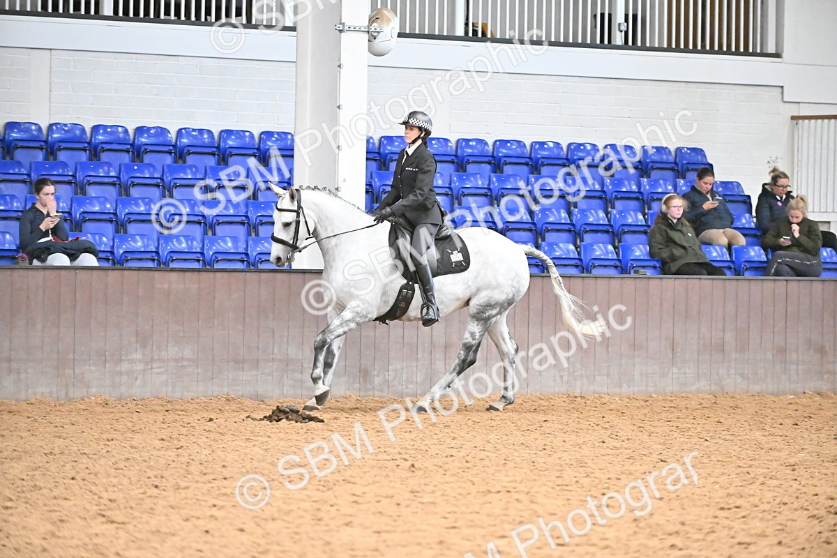 SBM_002657 - Class 28,29 - Ridden Irish & Coloured