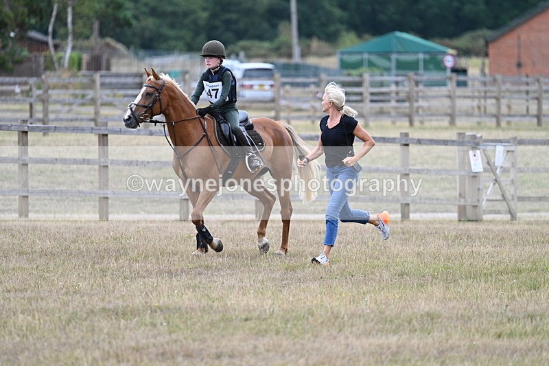 WJ7_1649 - 60cm Time 13:20 to 14:27