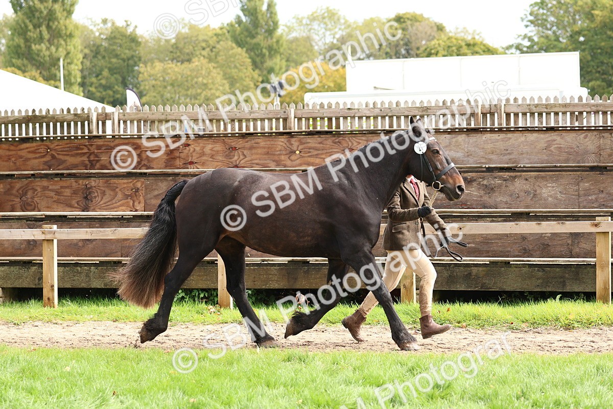 SBM_40741 - S25 -  Veteran In Hand