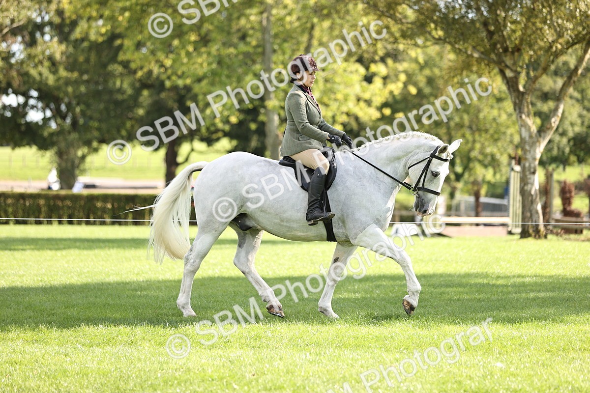 SBM_26365 - S6 - Novice & Newcomers Ridden Horse