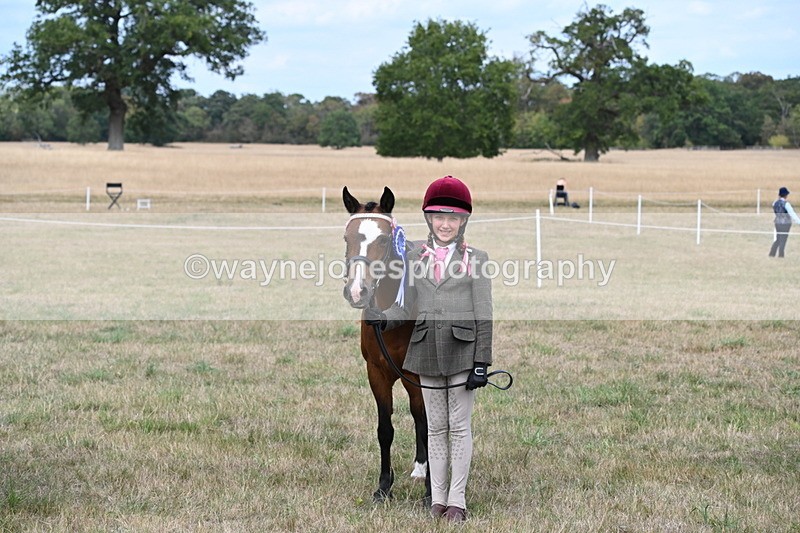 WJ6_6285 - Class 19 In-hand Veterans (Uploaded correct folder)