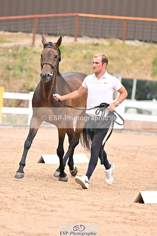 250716-154335-02164 - Trot Up 3.30 to 4.30