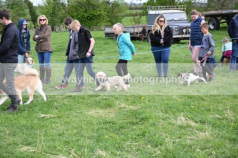 WJ6_8504 - Class 6 Best Rescue