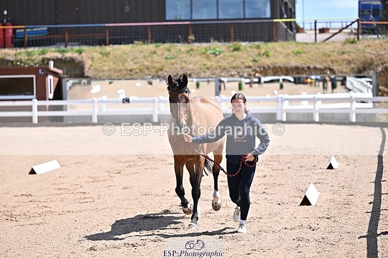 250716-123323-00044 - Trot Up 12.30 to 1.30