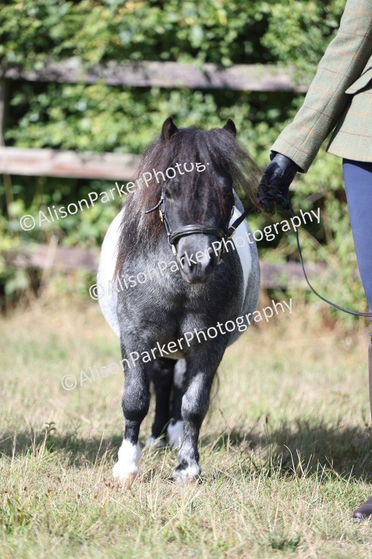 20250831-1481 - Class 21 - Inhand Open