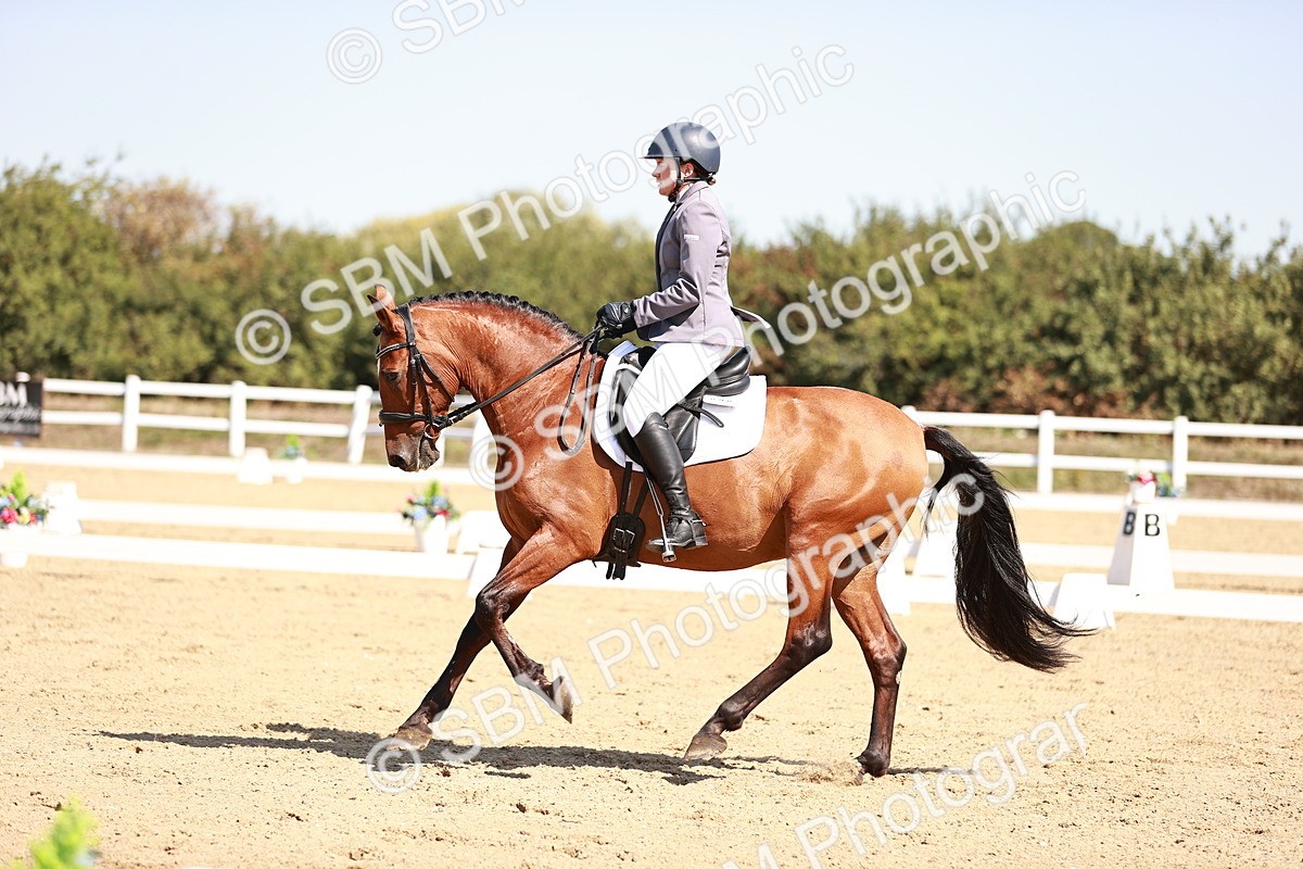 SBM_004511 - Class 12 - Novice 5 - 10.31-11.41