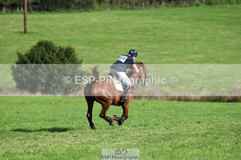 251024A-131811-11983 - B-154-Holly.Law