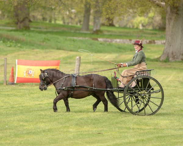 Attelage -989 - CIAT Glamis 2026
