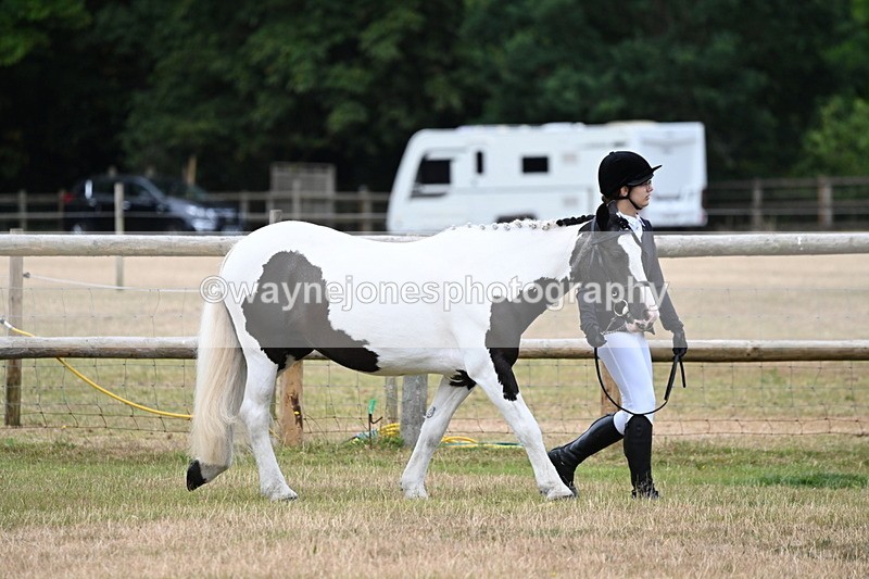 WJ6_4139 - Class 10 Coloured In-hand