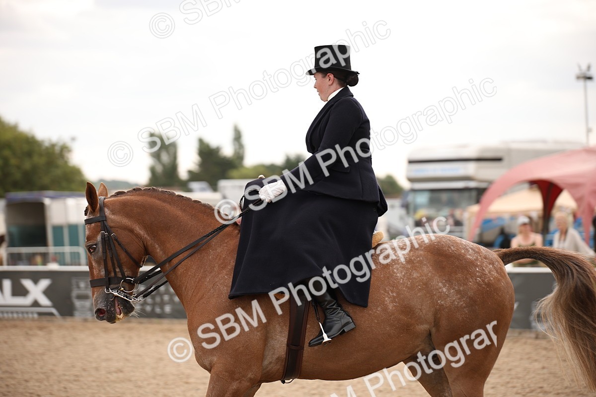 SBM_05379 - Class 22 SSA Equitation