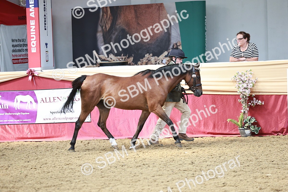 SBM_04763 - Class 7R - Regional IH Diamond