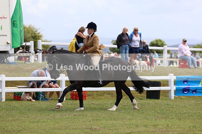 3E7A0595 - Rising Star Ridden Championship