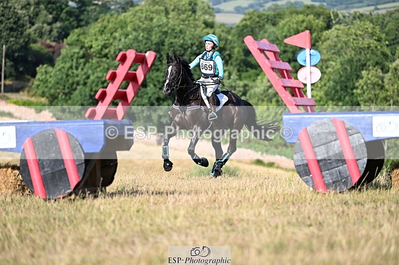 250803A-180023-18557 - S-869-Alice.Lamming-THE.DARK.HORSE.I