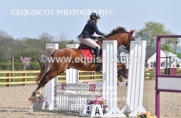 BPP_3712 - CLASS 2 Club/ Unaffiliated 80cms Open