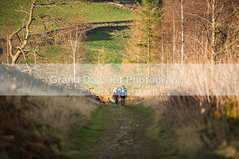 Tweed Valley-662 - High Terrain Events Tweed Valley 50 & 65K Ultra Trail Races Sunday 16th November 2025