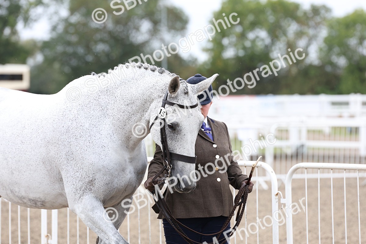 SBM_00019 - Class 50 - Best Turned Out IH