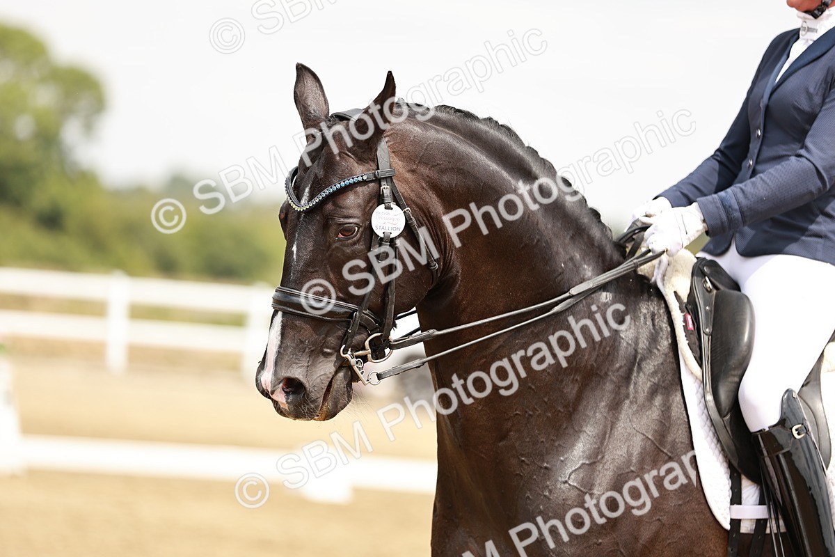 SBM_003660 - Class 7 - Advanced Medium 6 Gold - 13.16-14.36