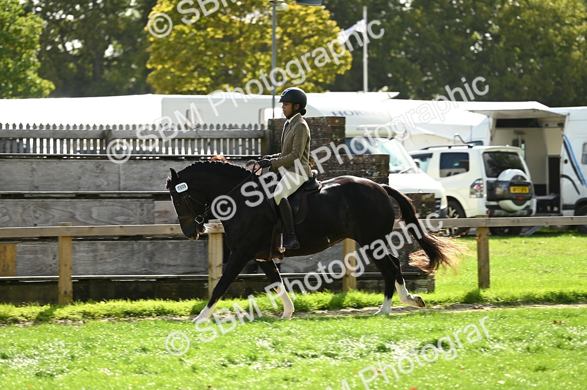 SBM_01927 - S2 - TSR Ridden Horse Showing