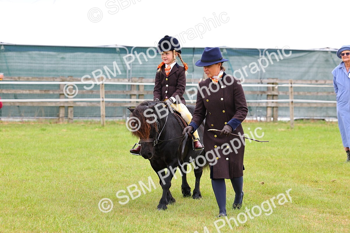SBM_08146 - Class 42-43 - LIHS BSPS Heritage Working Sports Pony