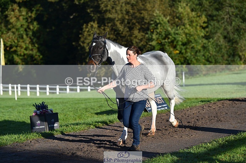 231022-092220-21736 - 622-CRAFTY.WIZARD-Heather.Urquhart-TrotUp+SJ