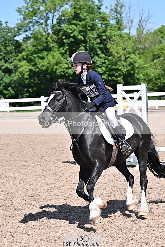 250517-115941-01058 - 40cm