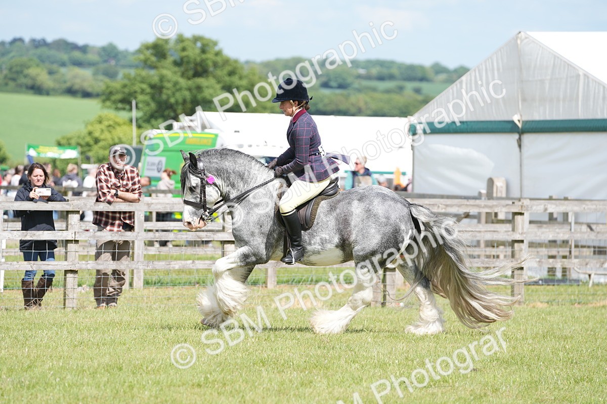 SBM_17306 - Class 107-108 - LIHS BSPS Performance Coloured Horse Pony