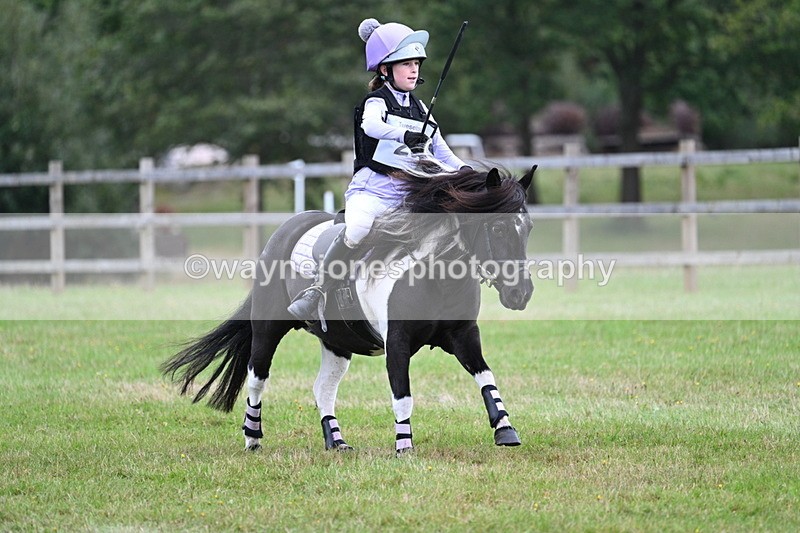 WJ7_7601 - 40cm Time 10:27 to 10:47