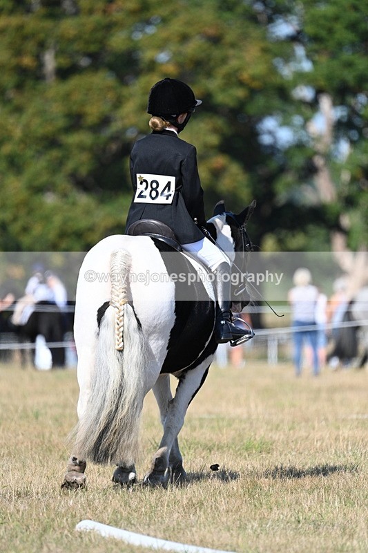 WJ7_9353 - Time 10:08 to 10:13