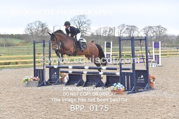 BPP_0175 - CLASS 1 FRI Club/ Unaffiliated 80cms Open