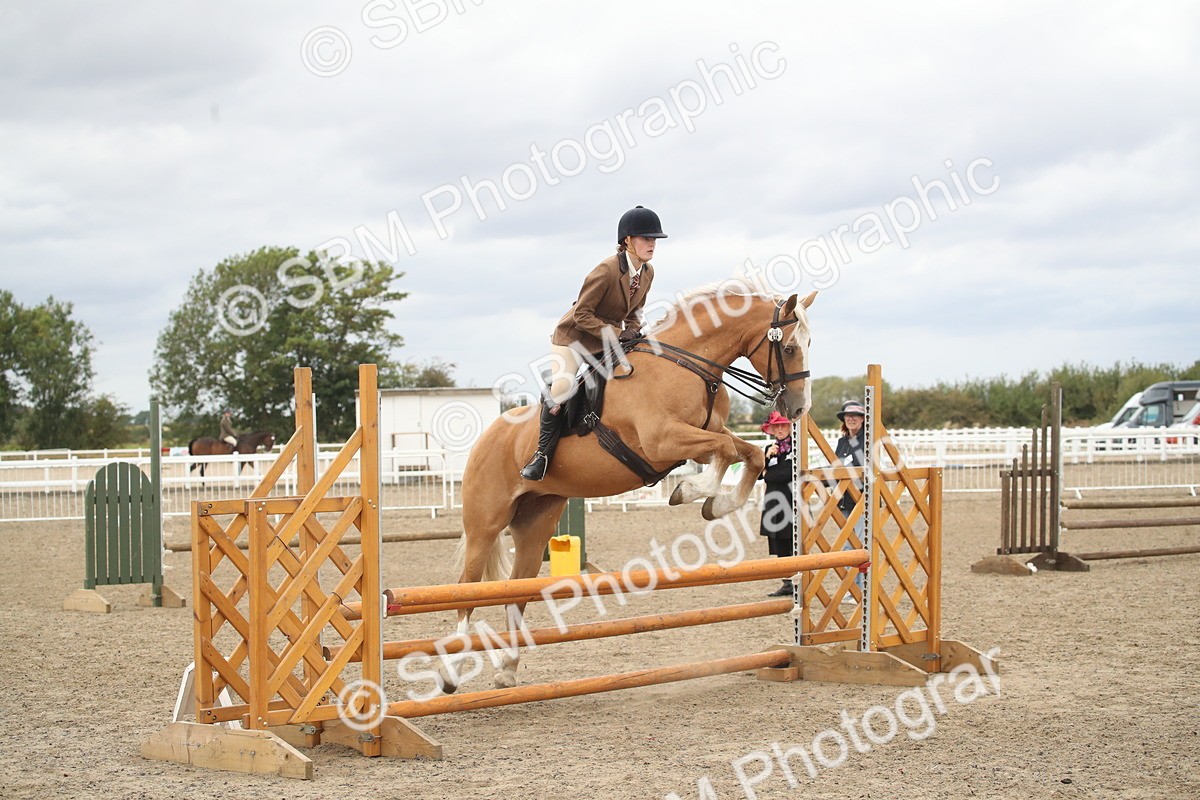 SBM_18306 - Class 509a - Working Veteran - 80cm (15-19)