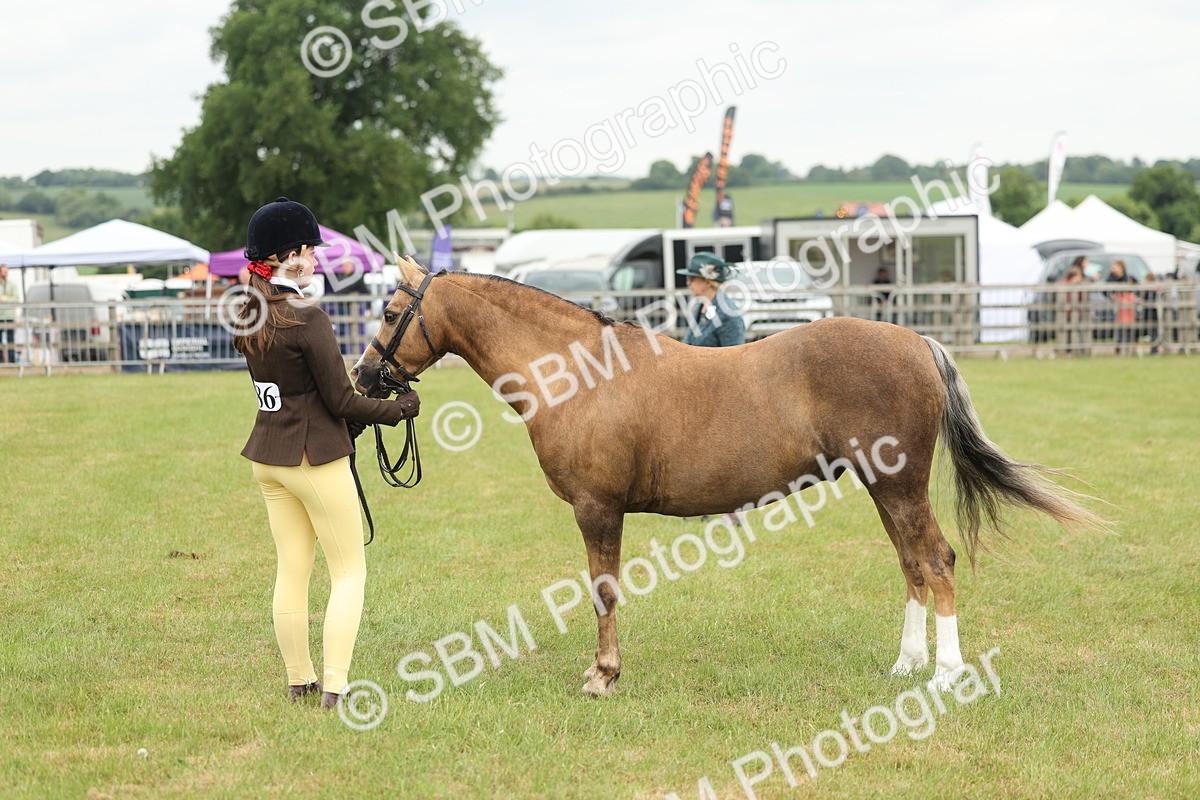 SBM_07121 - Class 76-77 - Ridden M&M Welsh Ponies