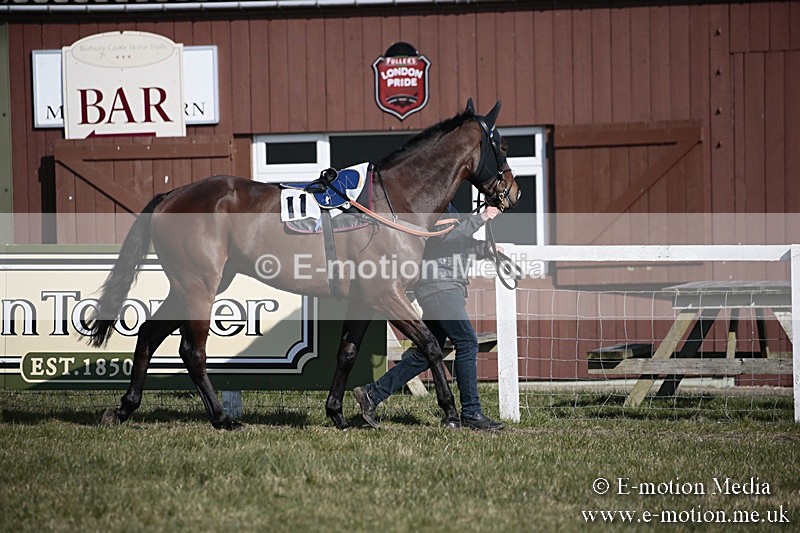 PtP 240218 126 - Vine & Craven Hunt Point-to-Point Barbury racecourse 24/02/18