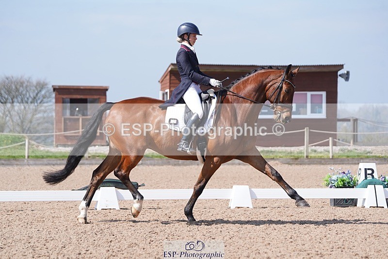 250404-122956-05670 - 028-Elizabeth.Allen-Heraldik