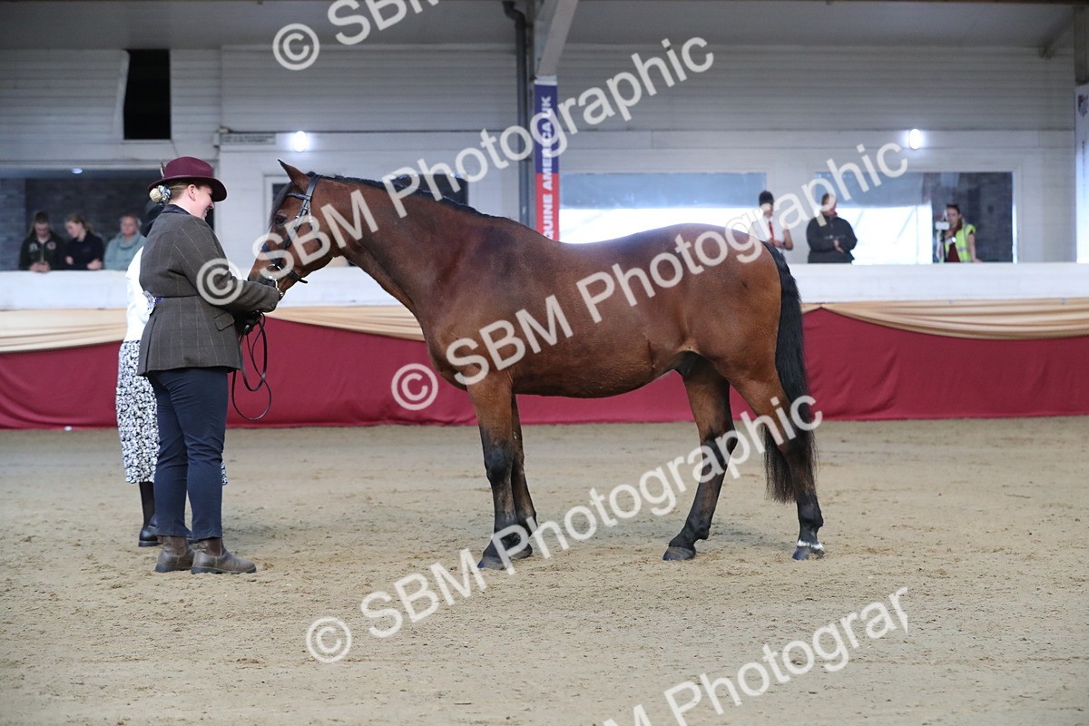 SBM_00304 - Class 1a - Area IH Diamond