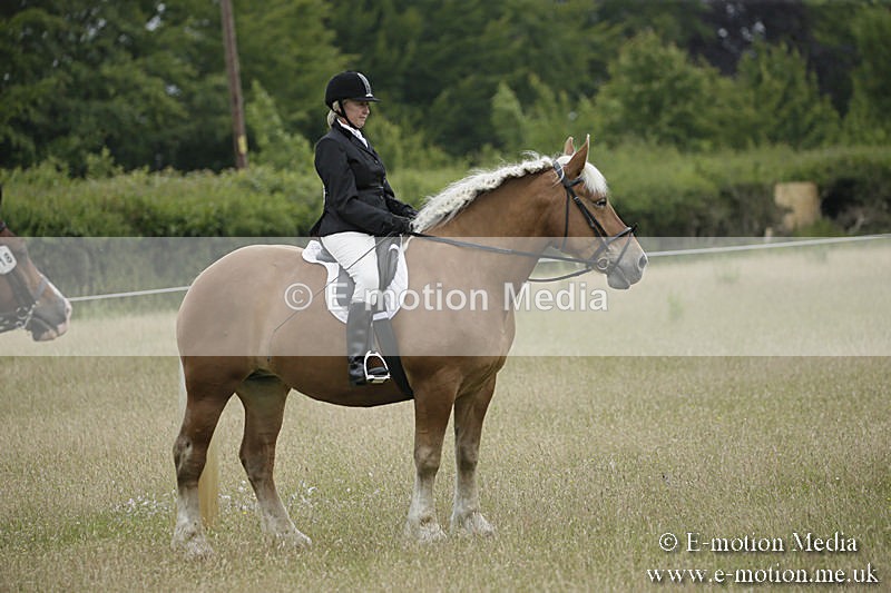 B230619-0948 - Bourne Valley Riding Club Summer Show 23/06/19