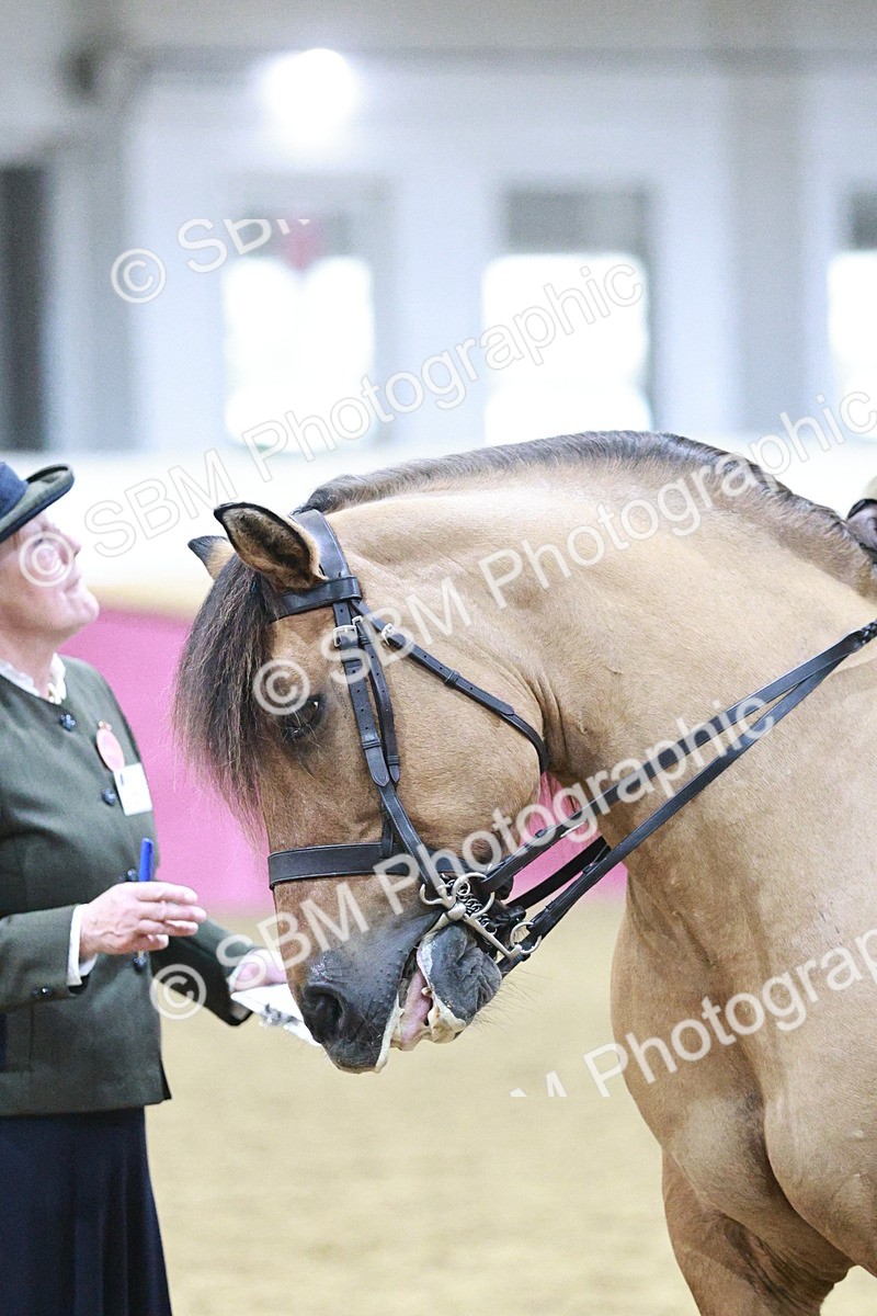 SBM_08098 - Class 11R - Regional Ridden Veteran