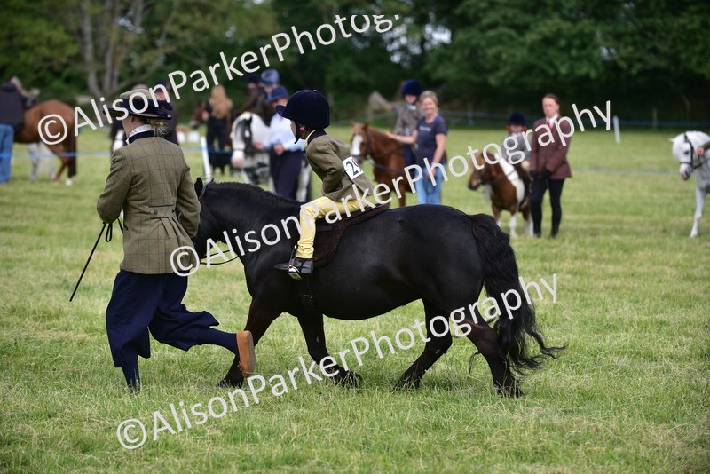20260614-1217 - Class 11a - Lead Rein Pony (Unplaited)