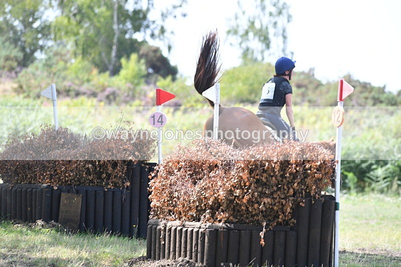 WJ5_2879 - XC Time 12:35 to 12:59