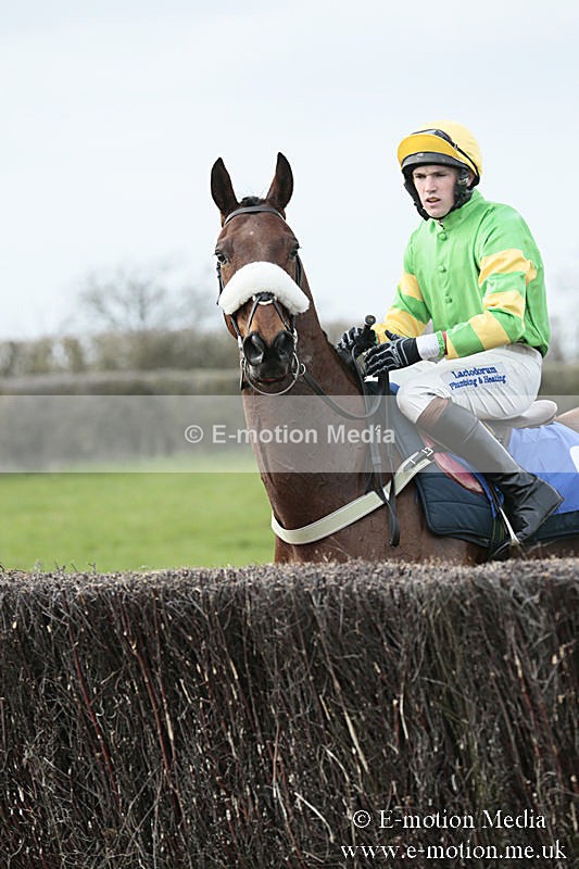 PtP 230319 226 - VWH Hunt Siddington Point-to-Point Racing 23/03/19
