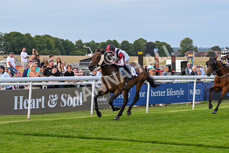 170625-Race 4-Nibras Gold-6773 - Race 4