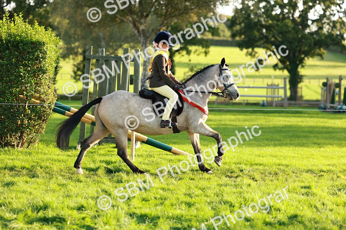 SBM_29351 - Novice & newcomer Supreme Championship